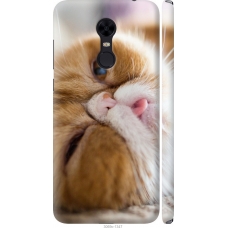 Чохол на Xiaomi Redmi 5 Plus Смішний персидський кіт 3069m-1347