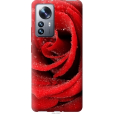 Чохол на Xiaomi 12 Pro Червона троянда 529u-2560