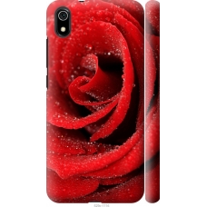 Чохол на Xiaomi Redmi 7A Червона троянда 529m-1716