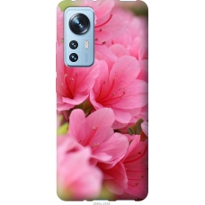 Чохол на Xiaomi 12 Рожева лагуна 2685u-2555