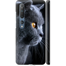 Чохол на Xiaomi Mi 10 Гарний кіт 3038m-1860