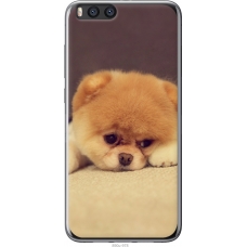 Чохол на Xiaomi Mi Note 3 Boo 2 890u-978