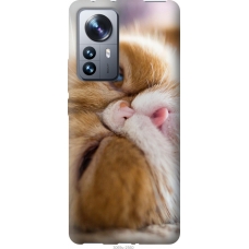 Чохол на Xiaomi 12 Pro Смішний персидський кіт 3069u-2560
