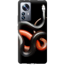Чохол на Xiaomi 12 Pro Червоно-чорна змія на чорному фоні 4063u-2560