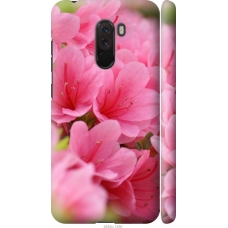 Чохол на Xiaomi Pocophone F1 Рожева лагуна 2685m-1556