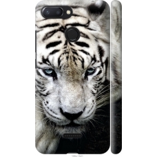 Чохол на Xiaomi Redmi 6 Сумний білий тигр 106m-1521