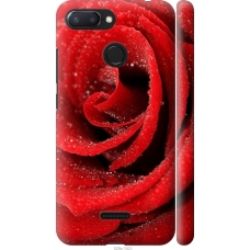 Чохол на Xiaomi Redmi 6 Червона троянда 529m-1521