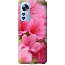 Чохол на Xiaomi 12X Рожева лагуна 2685u-2941