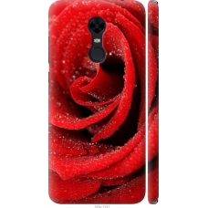Чохол на Xiaomi Redmi 5 Plus Червона троянда 529m-1347