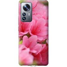 Чохол на Xiaomi 12 Pro Рожева лагуна 2685u-2560