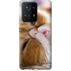 Чохол на Xiaomi Mix 4 Смішний персидський кіт 3069u-2475