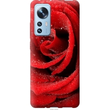 Чохол на Xiaomi 12 Червона троянда 529u-2555