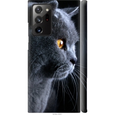 Чохол на Samsung Galaxy Note 20 Ultra Гарний кіт 3038m-2051