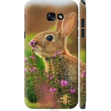 Чохол на Samsung Galaxy A7 (2017) Кролик і квіти 3019m-445