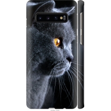 Чохол на Samsung Galaxy S10 Гарний кіт 3038m-1640