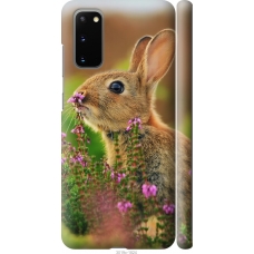 Чохол на Samsung Galaxy S20 Кролик і квіти 3019m-1824