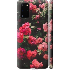Чохол на Samsung Galaxy S20 Plus Кущ з трояндами 2729m-1822