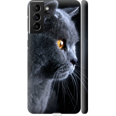 Чохол на Samsung Galaxy S21 Plus Гарний кіт 3038m-2115