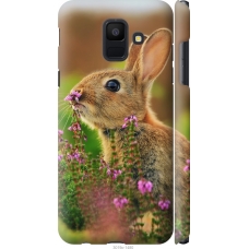 Чохол на Samsung Galaxy A6 2018 Кролик і квіти 3019m-1480