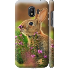 Чохол на Samsung Galaxy J2 2018 Кролик і квіти 3019m-1351