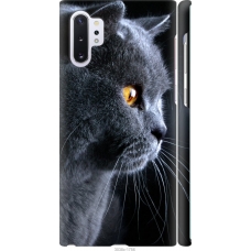 Чохол на Samsung Galaxy Note 10 Plus Гарний кіт 3038m-1756