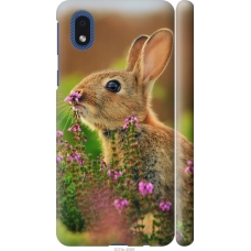Чохол на Samsung Galaxy A01 Core A013F Кролик і квіти 3019m-2065