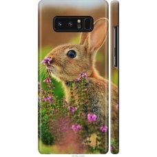 Чохол на Samsung Galaxy Note 8 Кролик і квіти 3019m-1020