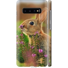 Чохол на Samsung Galaxy S10 Plus Кролик і квіти 3019m-1649