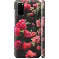 Чохол на Samsung Galaxy S20 Кущ з трояндами 2729m-1824