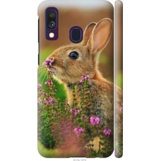 Чохол на Samsung Galaxy A40 2019 A405F Кролик і квіти 3019m-1672