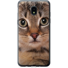 Чохол на Samsung Galaxy J3 2018 Смугастий котик 2978u-1501