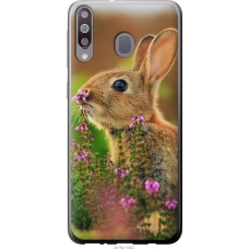 Чохол на Samsung Galaxy M30 Кролик і квіти 3019u-1682