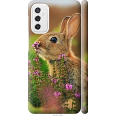 Чохол на Samsung Galaxy M52 M526B Кролик і квіти 3019m-2490
