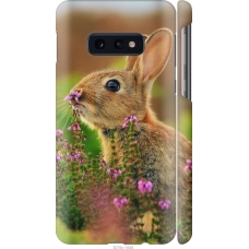 Чохол на Samsung Galaxy S10e Кролик і квіти 3019m-1646