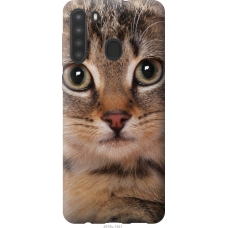 Чохол на Samsung Galaxy A21 Смугастий котик 2978u-1841