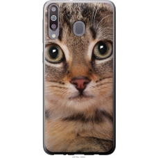 Чохол на Samsung Galaxy M30 Смугастий котик 2978u-1682
