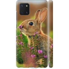 Чохол на Samsung Galaxy Note 10 Lite Кролик і квіти 3019m-1872