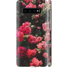 Чохол на Samsung Galaxy S10 Plus Кущ з трояндами 2729m-1649