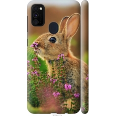 Чохол на Samsung Galaxy M30s 2019 Кролик і квіти 3019m-1774