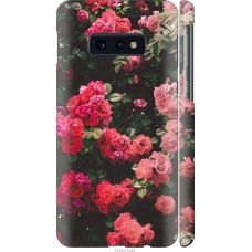 Чохол на Samsung Galaxy S10e Кущ з трояндами 2729m-1646