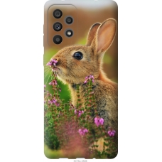 Чохол на Samsung Galaxy A73 A736B Кролик і квіти 3019u-2586