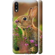 Чохол на Samsung Galaxy M10 Кролик і квіти 3019m-1661