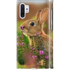 Чохол на Samsung Galaxy Note 10 Plus Кролик і квіти 3019m-1756