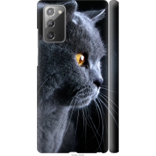 Чохол на Samsung Galaxy Note 20 Гарний кіт 3038m-2036