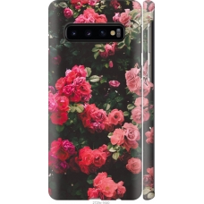 Чохол на Samsung Galaxy S10 Кущ з трояндами 2729m-1640