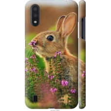 Чохол на Samsung Galaxy A01 A015F Кролик і квіти 3019m-1842