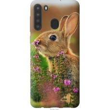 Чохол на Samsung Galaxy A21 Кролик і квіти 3019u-1841