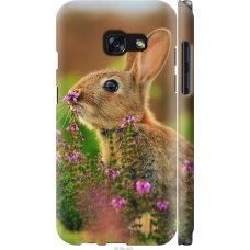 Чохол на Samsung Galaxy A3 (2017) Кролик і квіти 3019m-443