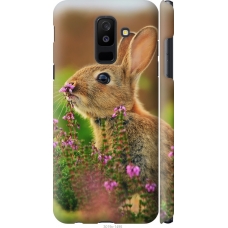 Чохол на Samsung Galaxy A6 Plus 2018 Кролик і квіти 3019m-1495