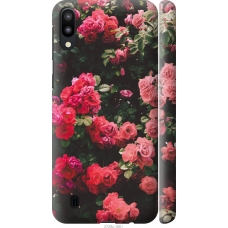Чохол на Samsung Galaxy M10 Кущ з трояндами 2729m-1661
